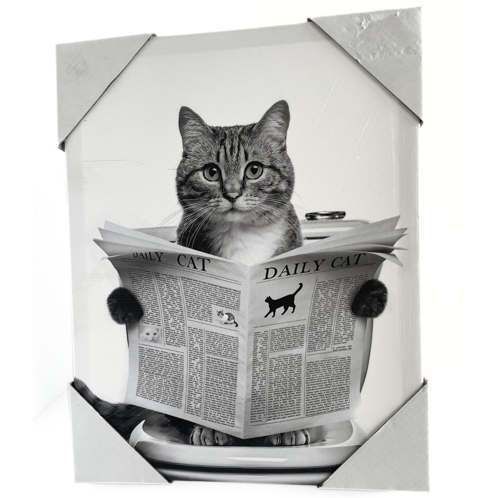 Cat Reading Newspaper Canvas Print